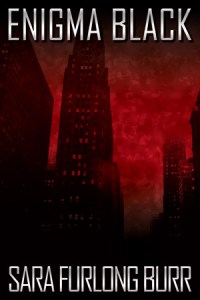 Enigma-Black by Sara Furlong Burr